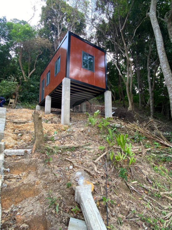 Untitled design (24)